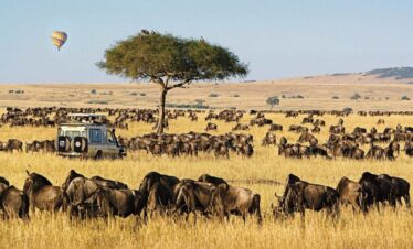 6 Day masai mara/Lake nakuru/Amboseli safari $ 990