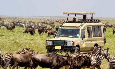 Extraodinary kenya safari