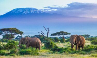 Amboseli 3 Days 2 Nights